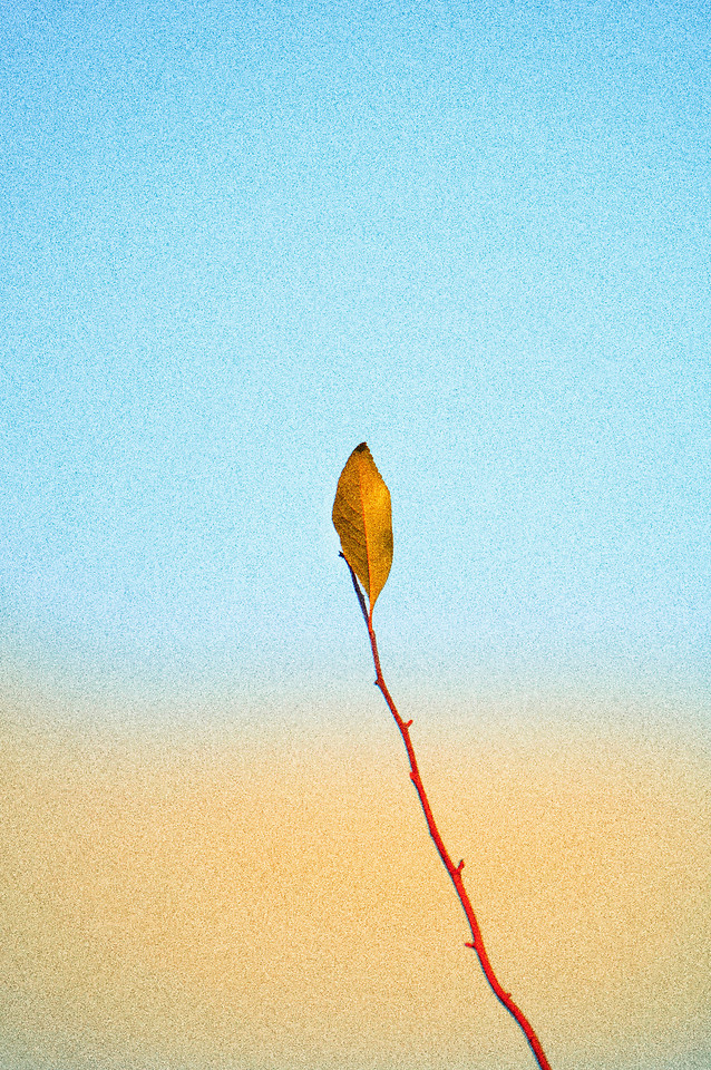 no-person-sky-beach-nature-one picture material