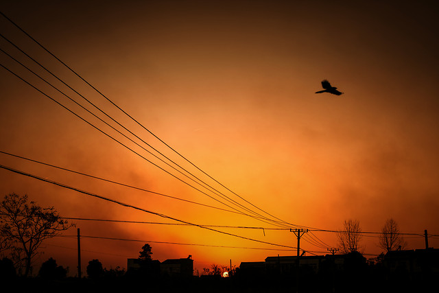 sunset-wire-silhouette-no-person-sky 图片素材