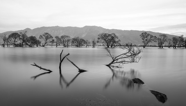 water-lake-reflection-landscape-monochrome 图片素材