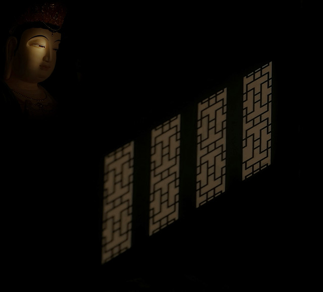 monochrome-shadow-portrait-people-light 图片素材