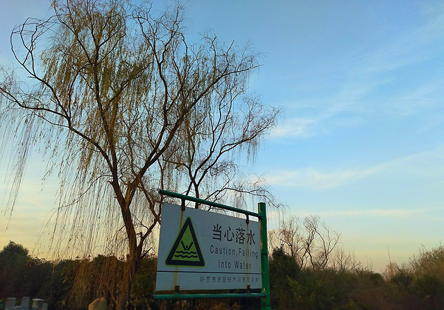 landscape-sky-tree-no-person-nature 图片素材
