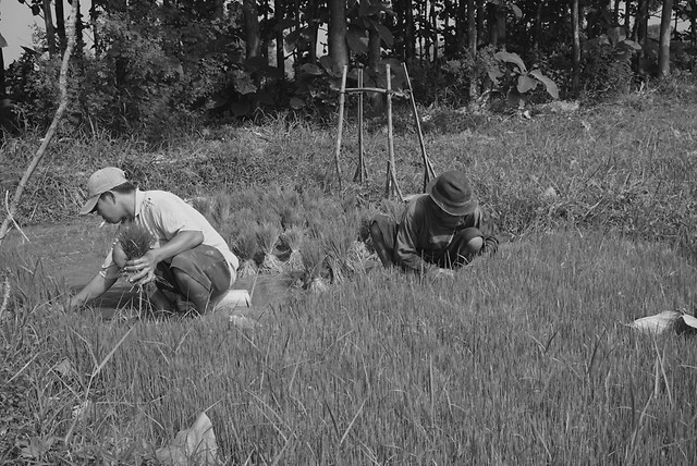 people-one-adult-man-two 图片素材