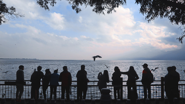 water-sea-beach-people-ocean 图片素材