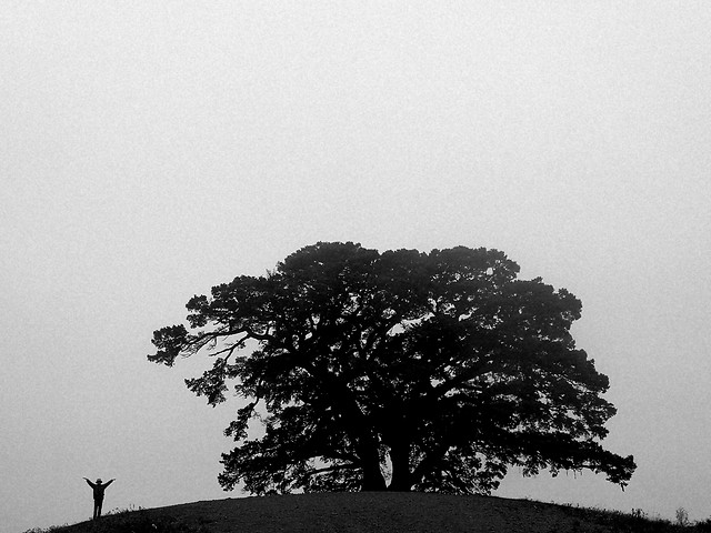 人与自然 图片素材