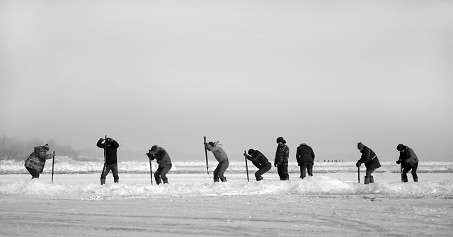 people-beach-group-together-snow-man picture material