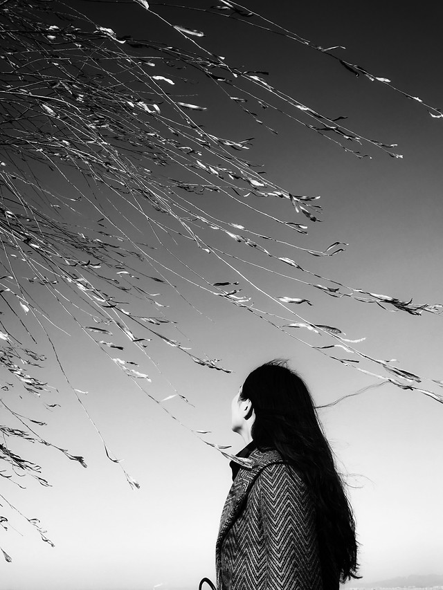monochrome-people-nature-girl-portrait 图片素材