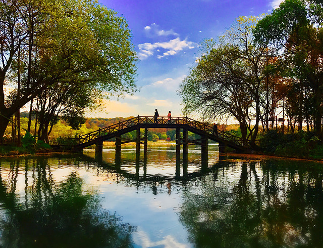 bridge-water-river-reflection-lake picture material