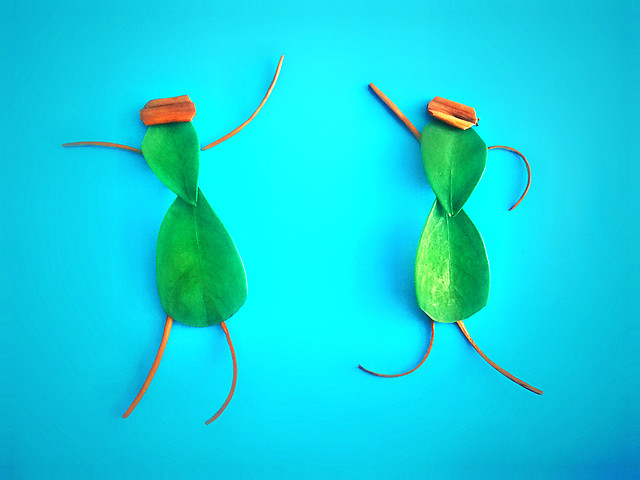 no-person-nature-biology-fish-underwater 图片素材