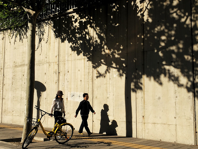 street-people-bike-land-vehicle-wheel picture material