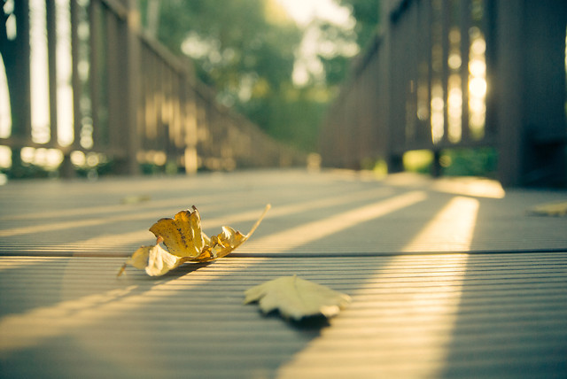 blur-street-city-road-yellow picture material