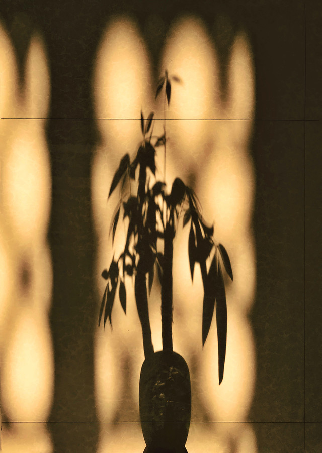 monochrome-people-woman-girl-adult 图片素材