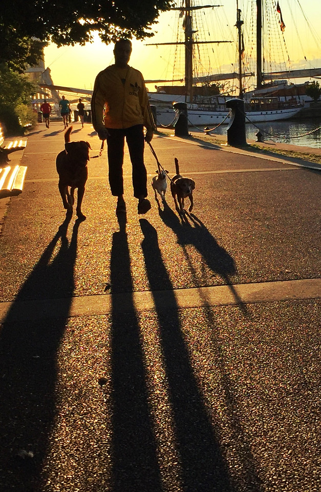 street-people-road-city-shadow picture material
