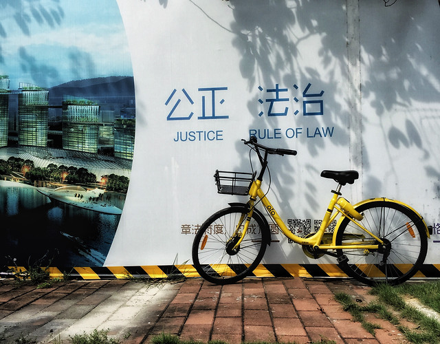 wheel-street-land-vehicle-road-bicycle-bicycle picture material