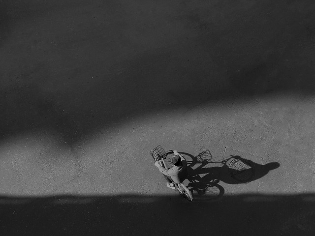 monochrome-insect-no-person-invertebrate-one 图片素材