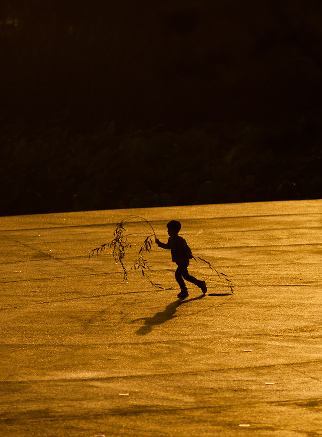 people-action-beach-landscape-yellow picture material