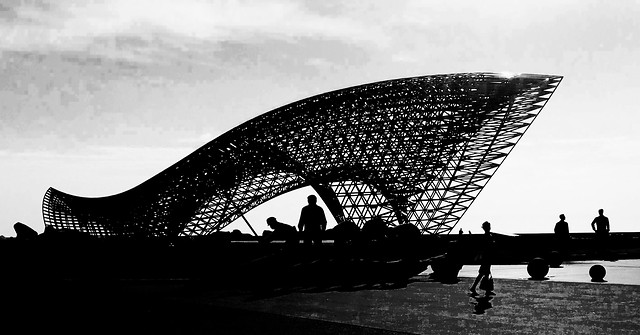 monochrome-water-sea-people-bridge picture material