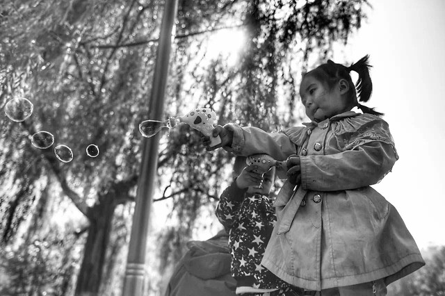 people-one-tree-adult-white 图片素材
