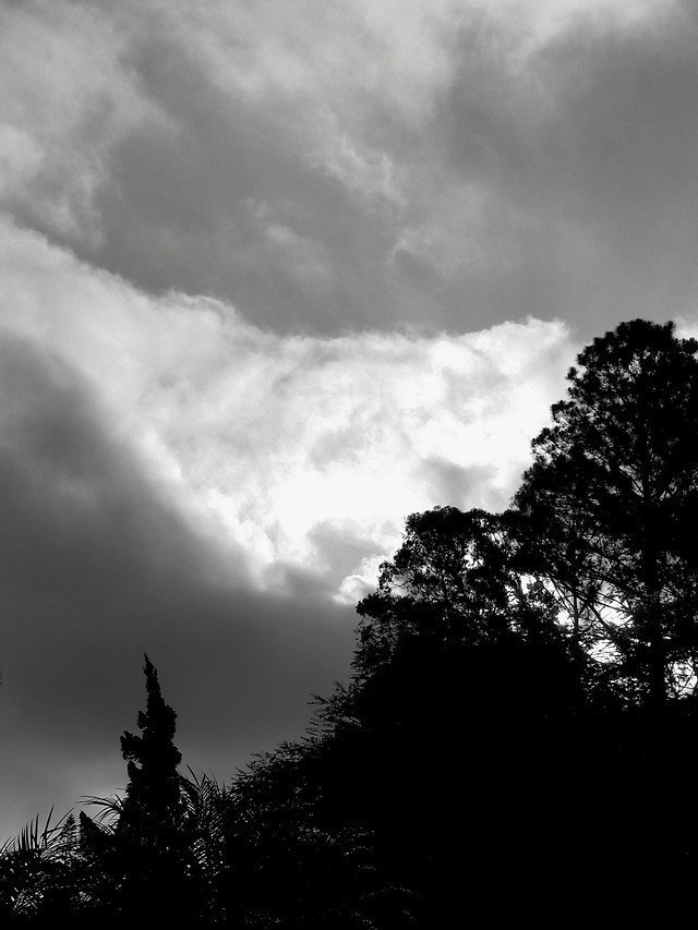 monochrome-no-person-sky-cloud-fog picture material
