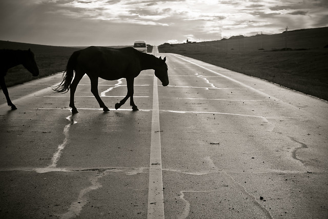 monochrome-black-landscape-black-and-white-mare 图片素材