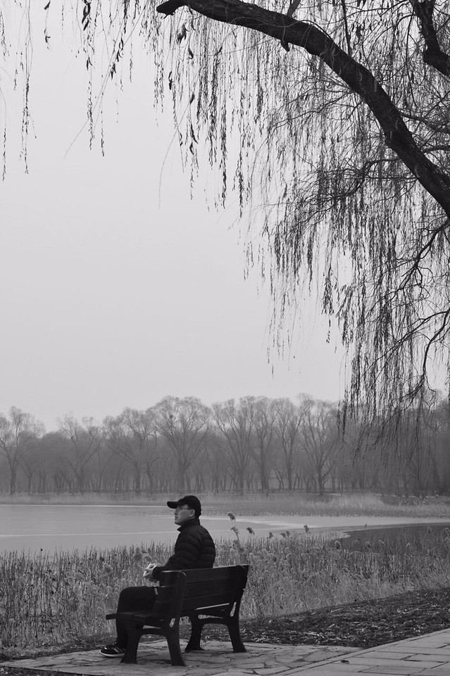 tree-monochrome-people-lake-water 图片素材