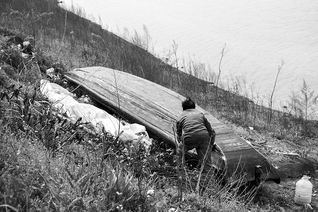 people-one-adult-transport-man 图片素材