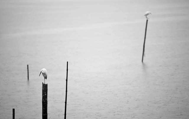 water-people-one-no-person-monochrome 图片素材