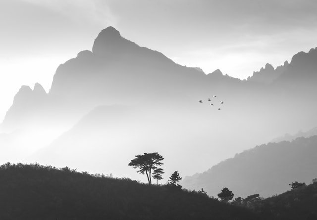 sky-black-and-white-monochrome-photography-mountainous-landforms-mist picture material