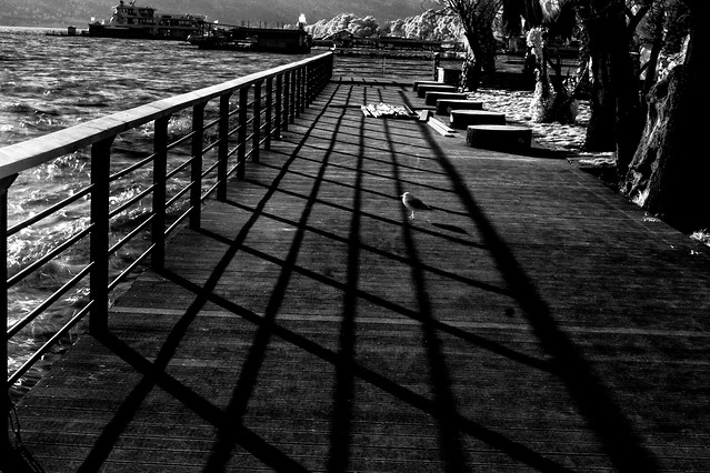 black-and-white-water-monochrome-architecture-light picture material