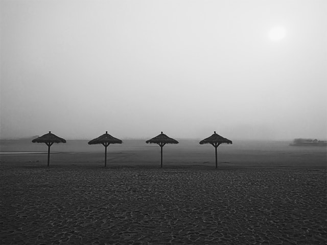 sea-black-and-white-horizon-fog-monochrome-photography picture material