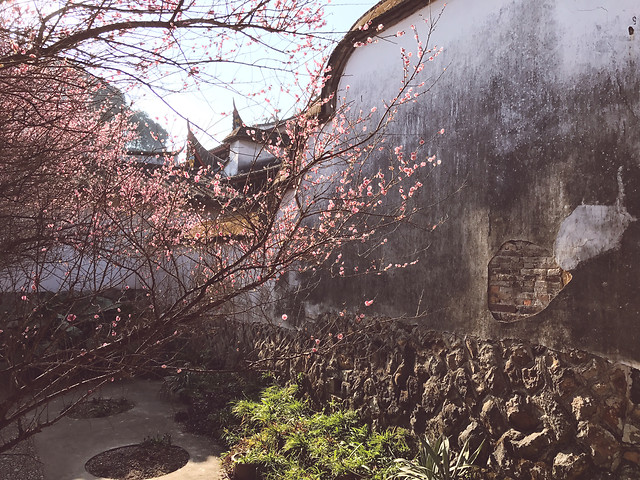 tree-no-person-winter-landscape-branch 图片素材