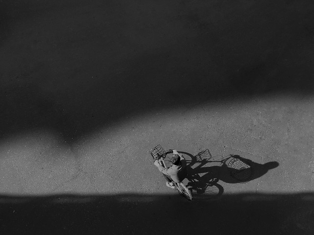 monochrome-insect-no-person-invertebrate-one 图片素材