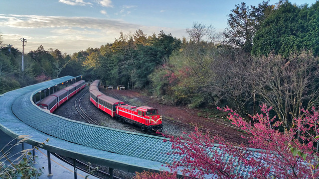 transportation-system-tree-landscape-travel-no-person picture material