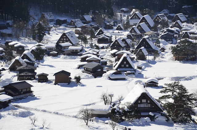 snow-winter-cold-ice-frozen 图片素材