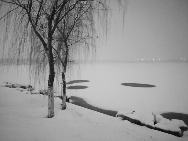 tree-winter-snow-monochrome-fog 图片素材