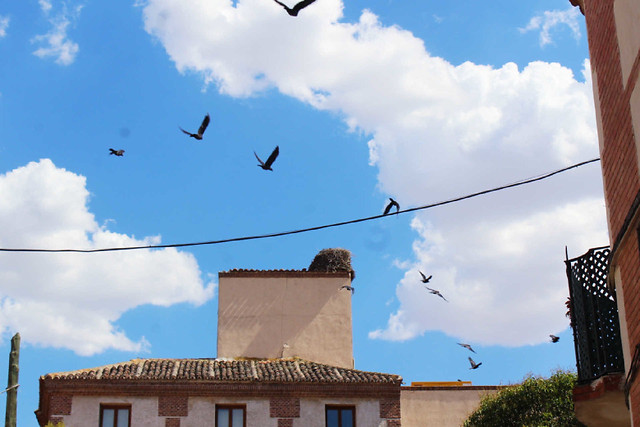 sky-architecture-cloud-outdoors-no-person 图片素材