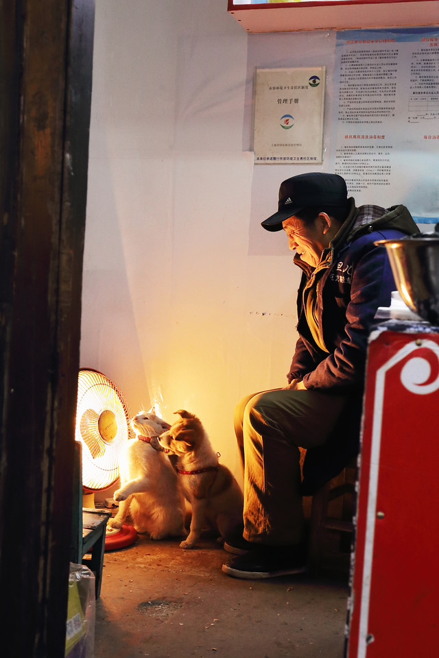 《取暖》 图片素材