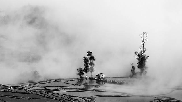 no-person-smoke-fog-monochrome-mist picture material