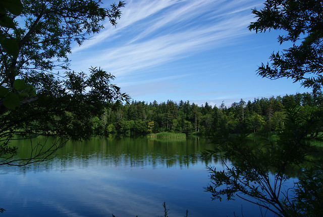 no-person-lake-water-reflection-tree picture material