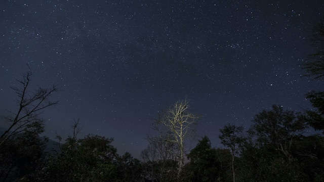 moon-sky-tree-astronomy-landscape 图片素材