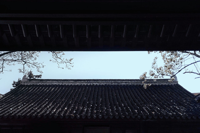 幽香徐自来 图片素材