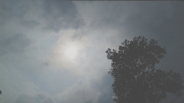 landscape-fog-nature-sky-cloud picture material