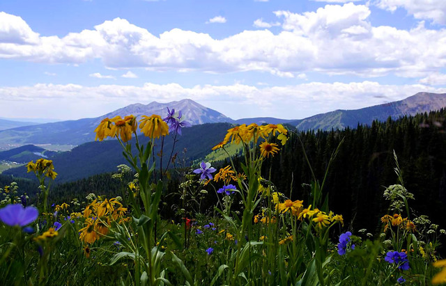 landscape-mountain-nature-flower-sky picture material