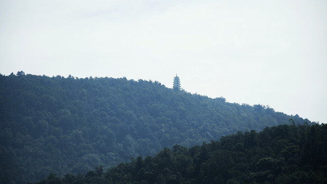sky-landscape-tree-fog-mountain 图片素材