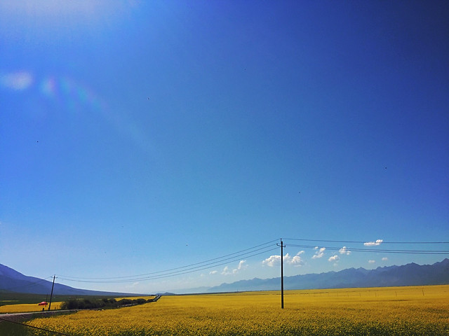 landscape-sky-field-nature-farm 图片素材