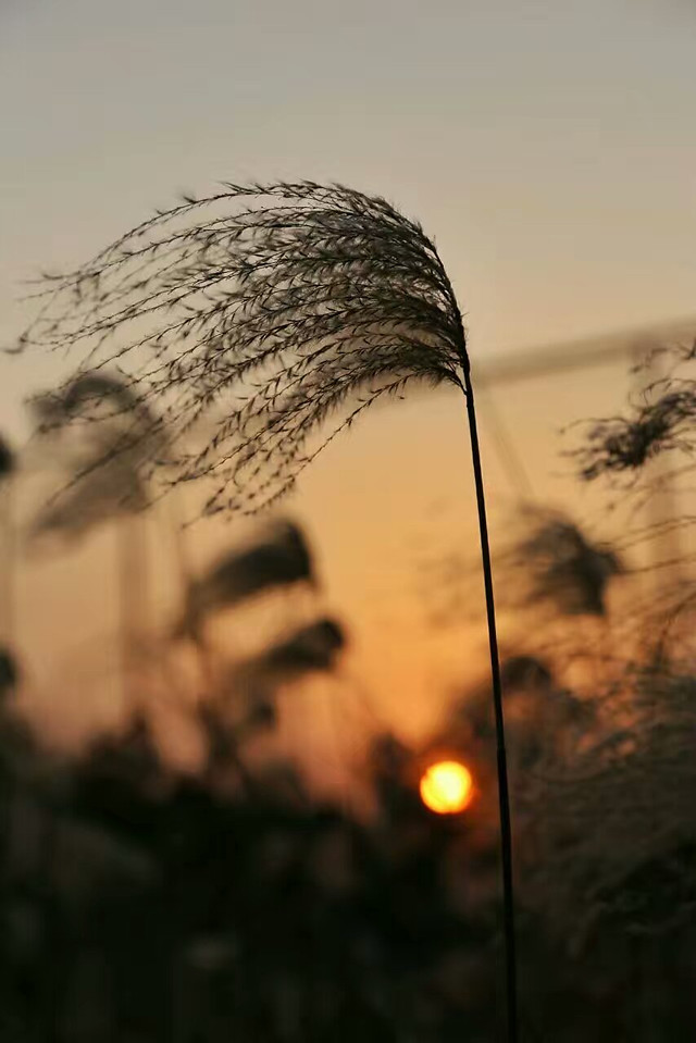 sunset-nature-landscape-sun-dawn 图片素材