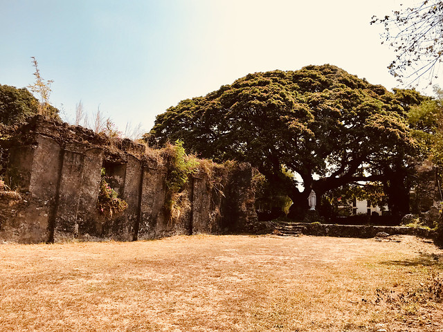 tree-landscape-nature-travel-no-person picture material