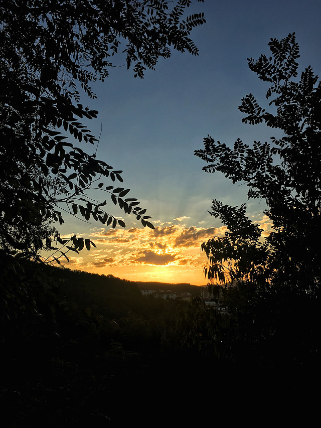 sunset-sky-tree-landscape-no-person 图片素材