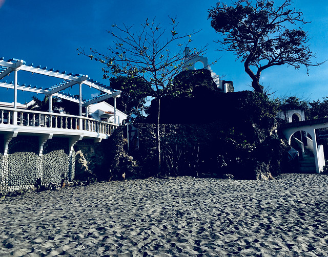 no-person-tree-sky-winter-outdoors 图片素材