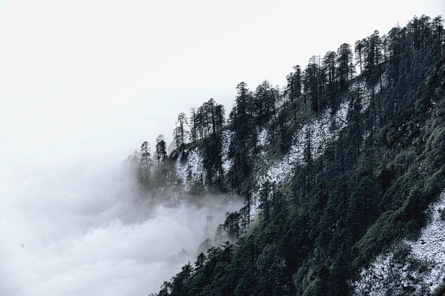 sky-tree-mountain-winter-mist picture material