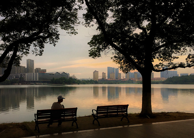 tree-dawn-lake-water-no-person 图片素材